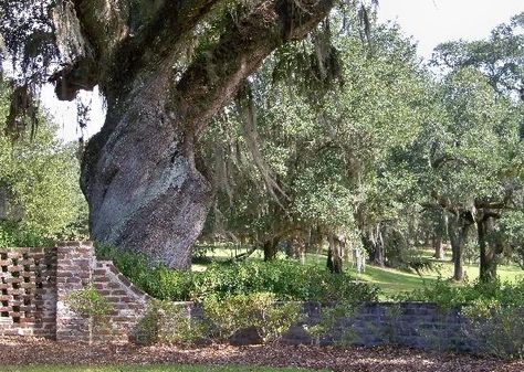 Donate to Mepkin Abbey